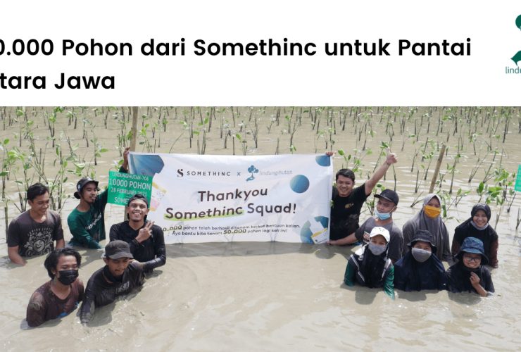 Kolaborasi LindungiHutan dan Somethinc untuk menanam sepuluh ribu mangrove di pantai utara Jawa Tengah