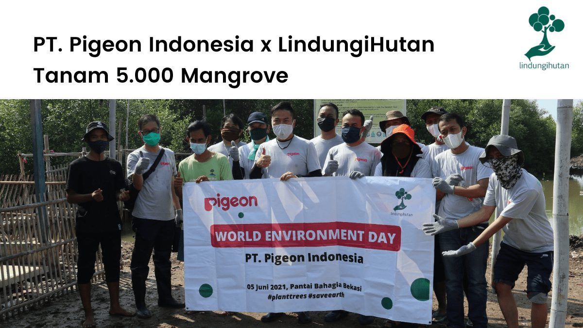 PT. Pigeon Indonesisa tanam 5.000 pohon mangrove di kabupaten Bekasi.