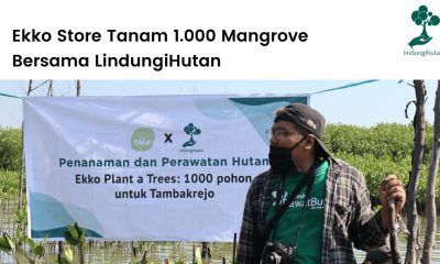 Penanaman 1000 pohon mangrove antara LindungiHutan dan Ekko Store di pesisir utara Jawa.