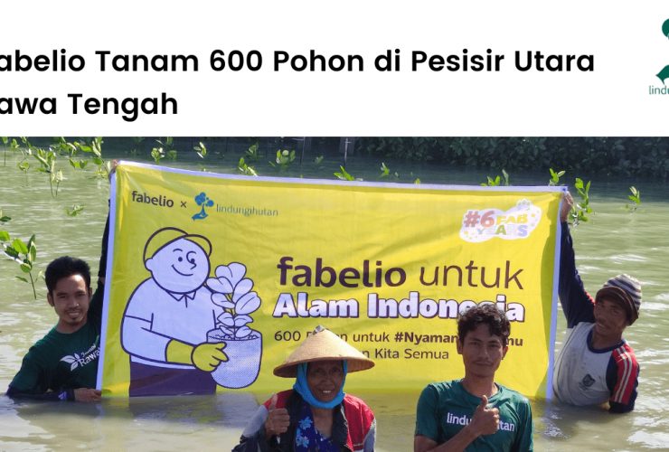 Fabelio tanam 600 pohon di pesisir pantai utara Jawa Tengah.