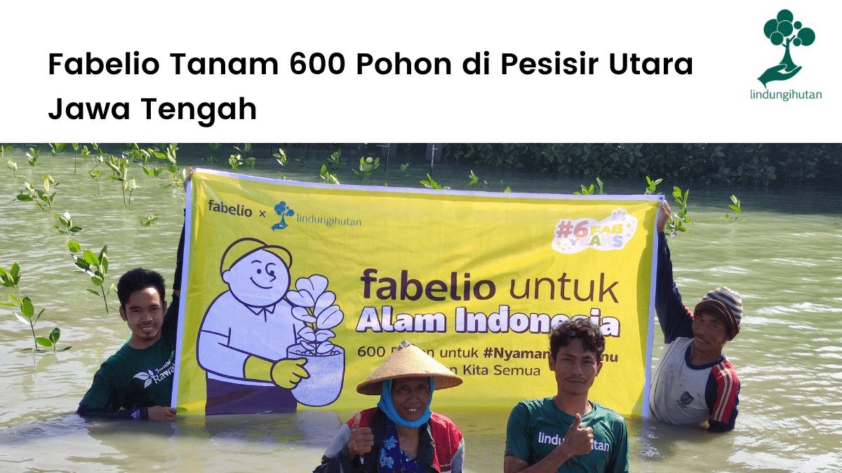 Fabelio tanam 600 pohon di pesisir pantai utara Jawa Tengah.