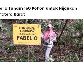 Fabelio menanam 150 pohon kayu di Agam, Sumatera Barat bersama LindungiHutan.