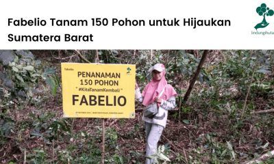 Fabelio menanam 150 pohon kayu di Agam, Sumatera Barat bersama LindungiHutan.