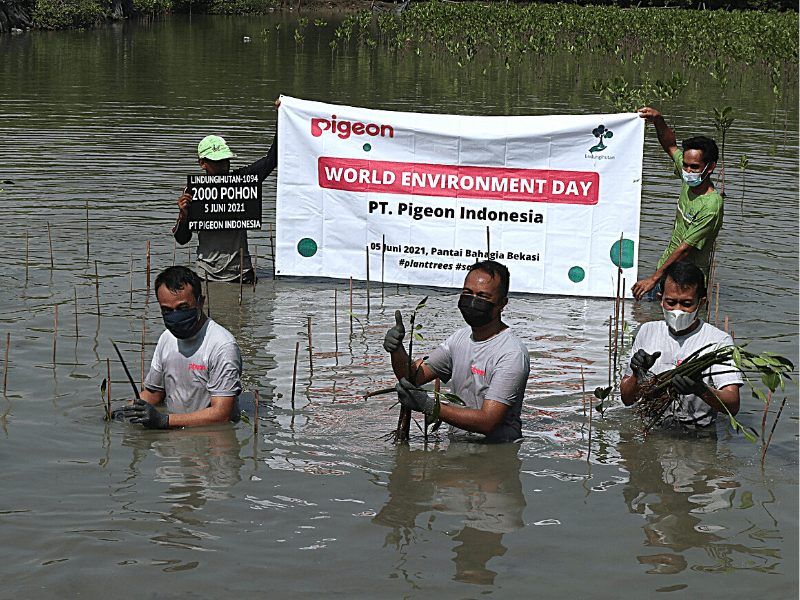 Foto dokumentasi kegiatan penanaman pohon mangrove hasil kerjasama dari PT. Pigeon Indonesia dan Lindungihutan pada fase 1 tanggal 5 Juni 2021.