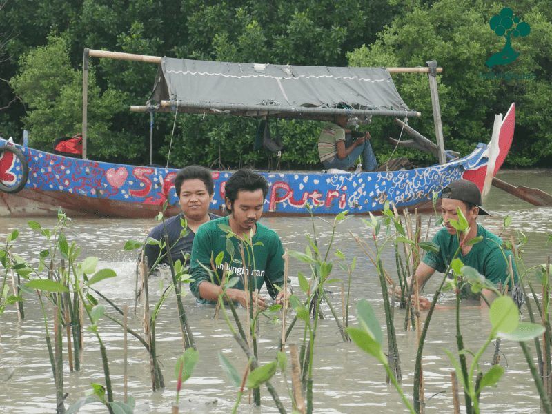 Perwakilan tim LindungiHutan dan relawan ikut terlibat dalam acara penanaman mangrove tersebut.
