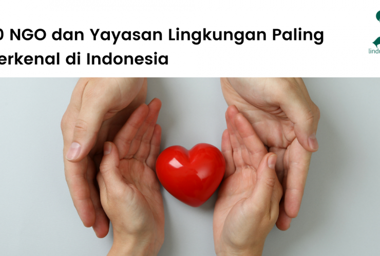 10 NGO dan Yayasan Lingkungan Terkenal di Indonesia.