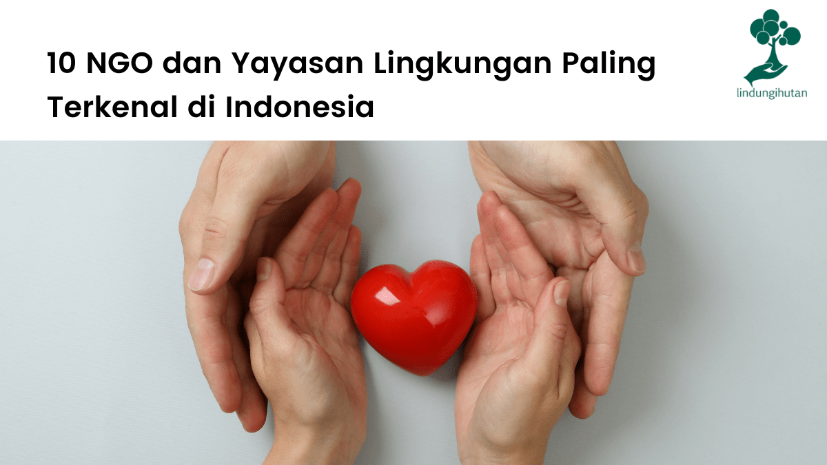 10 NGO dan Yayasan Lingkungan Terkenal di Indonesia.