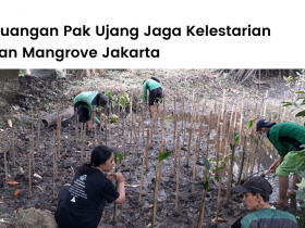Kisah singkat mitra penanaman pohon LindungiHutan di Jakarta, Pak Ujang.