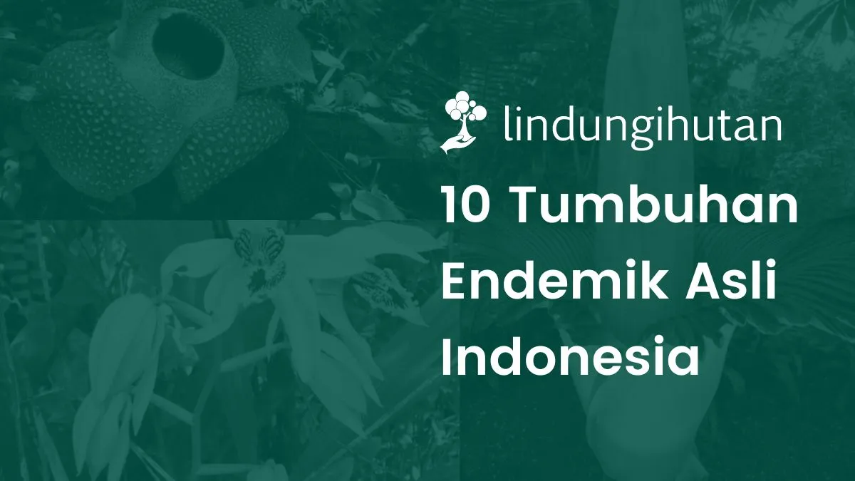 Tumbuhan endemik asli Indonesia