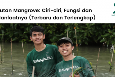 Pengertian hutan mangrove, ciri-ciri, manfaat, fungsi dan fakta menarik hutan mangrove.