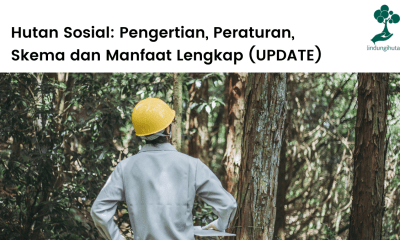 Pengertian perhutanan sosial, jenis-jenis dan skema, tujuan, visi-misi dan manfaat hutan sosial di Indonesia.