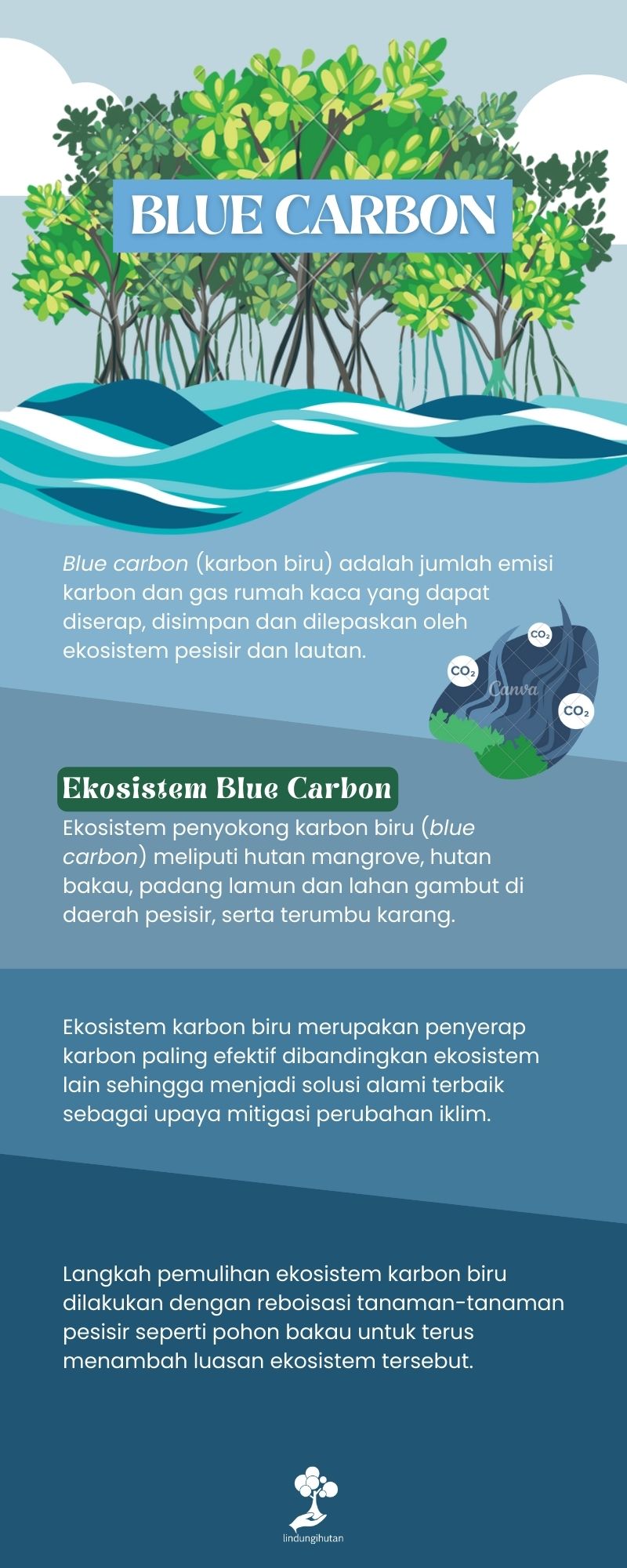 Blue carbon adalah.