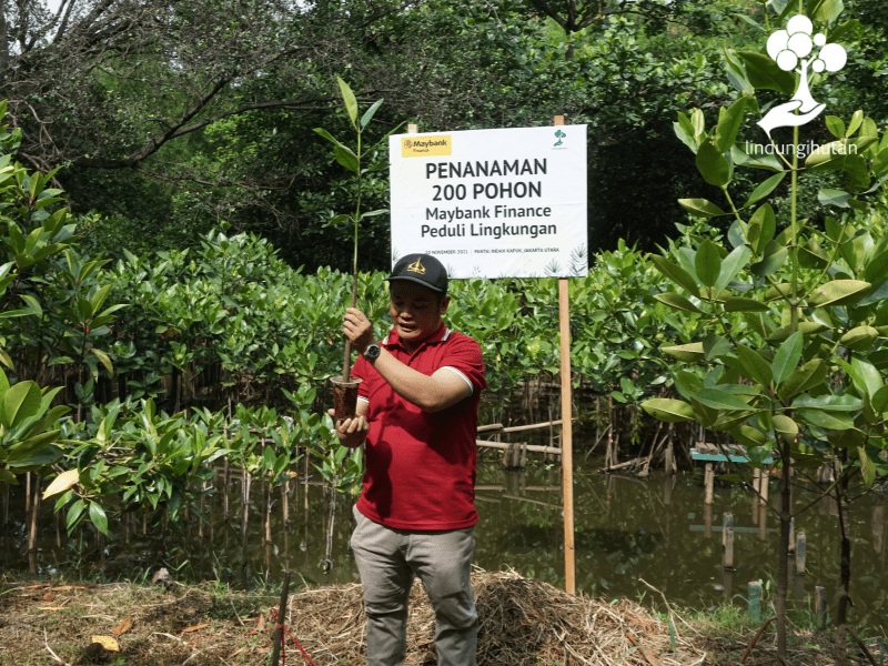 Mitra petani LindungiHutan dalam acara penghijauan bersama Maybank Finance.