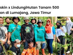 Avoskin dan LindungiHutan berkolaborasi untuk konservasi hutan di Lumajang, Jawa Timur.