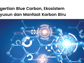 Pengertian blue carbon, ekosistem pendukung dan manfaat karbon biru