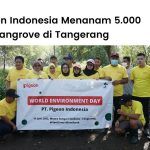 Program CSR Pigeon Indonesia menanam ribuan mangrove di Tangerang.
