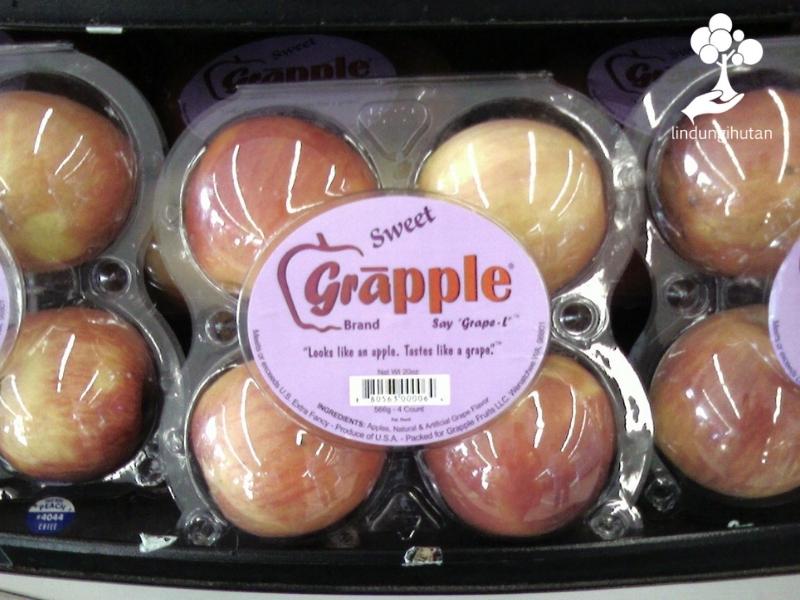 Satu kotak (box) buah Grapple.
