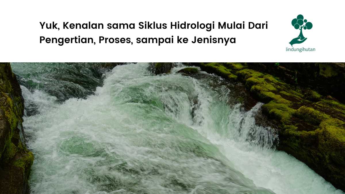 Gambar siklus hidrologi