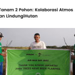 Atmos Jakarta dan LindungiHutan berkolaborasi dengan setiap pembelian 1 sepatu menanam 2 pohon.