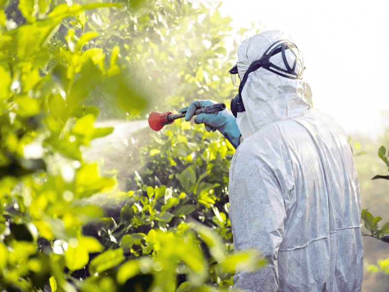 Penggunaan pestisida berlebih juga jadi faktor penyebab degradasi lahan.