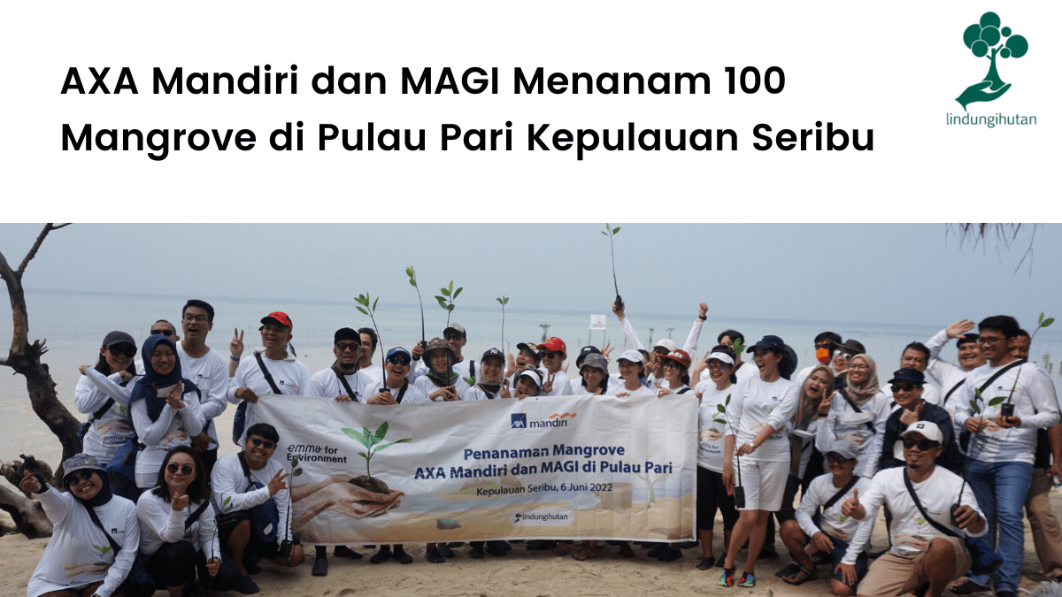 AXA Mandiri dan MAGI Menanam 100 Mangrove di Pulau Pari Kepulauan Seribu (2)