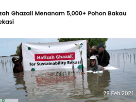 Hafizah Ghazali Menanam 5,000+ Pohon Bakau di Bekasi. Cover Image Blog LindungiHutan (5)