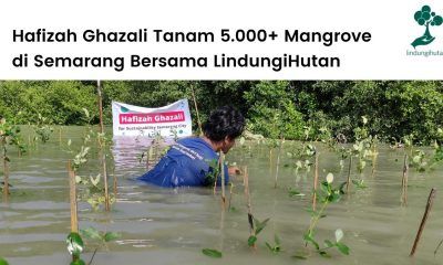 LindungiHutan dan Hafizah Ghazali menanam 5.000 mangrove di pesisir Trimulyo, Genuk, Kota Semarang, Jawa Tengah.