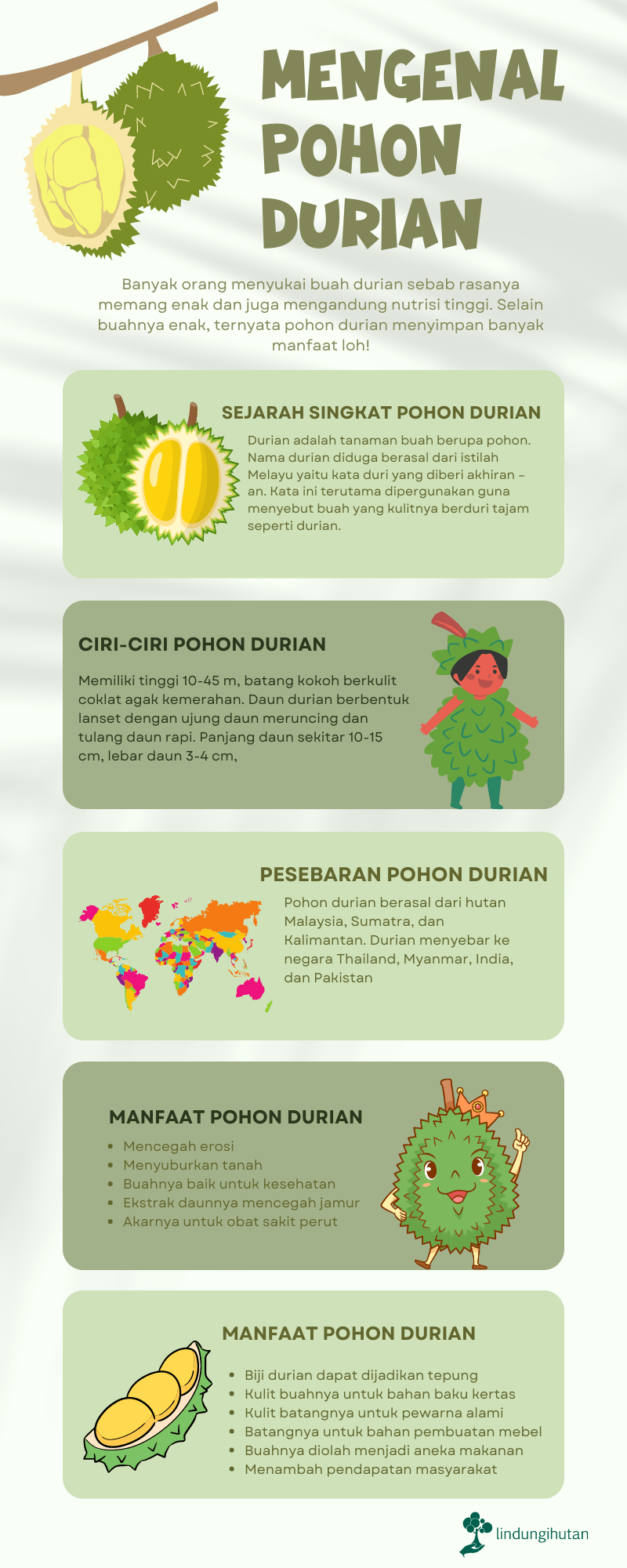 Infografis manfaat pohon durian 