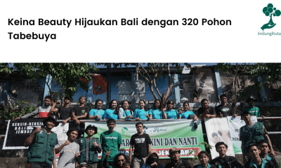 Keina Beauty Hijaukan Bali dengan 320 Pohon Tabebuya.