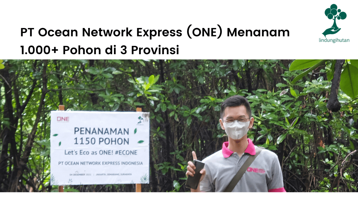 PT Ocean Network Express Indonesia (ONE) menanam pohon mangrove bersama LindungiHutan (4)