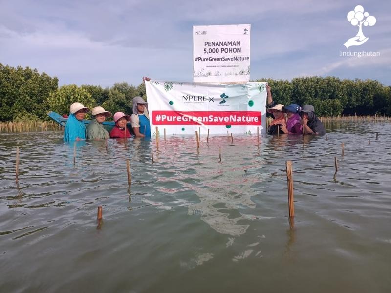 Mitra petani dan masyarakat pantai bahagia menanam mangrove hasil kolaborasi LindungiHutan dan NPURE.