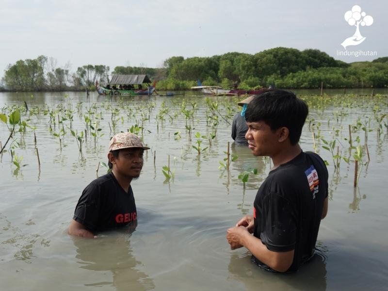 Perwakilan Geliga Indonesia ikut serta menanam bibit mangrove di Pantura Jawa.