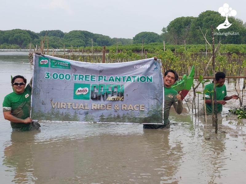 Perwakilan MILO Indonesia hadir dalam penanaman mangrove bersama LindungiHutan.
