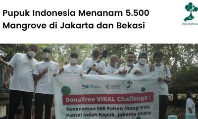 Pupuk Indonesia menjalankan program CSR lingkungan dengan menanam mangrove bersama LindungiHutan di Jakarta dan Bekasi.