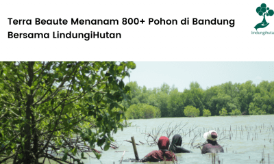 Terra Beaute Menanam 800+ Pohon di Bandung Bersama LindungiHutan