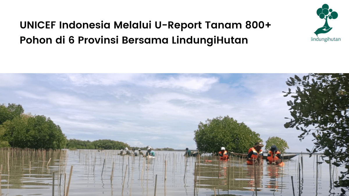 UNICEF Indonesia Melalui U-Report Indonesia Tanam 800+ Pohon di 6 Provinsi Bersama LindungiHutan