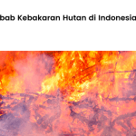 10+ Penyebab Kebakaran Hutan di Indonesia