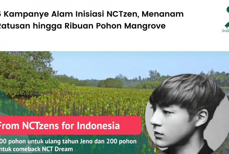 6 Kampanye Alam Inisiasi NCTzen, Menanam Ratusan hingga Ribuan Pohon Mangrove.