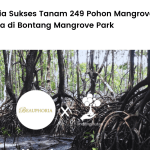LindungiHutan dan Beauphoria berkolaborasi untuk menanam mangrove di Bontang, Kaltim.