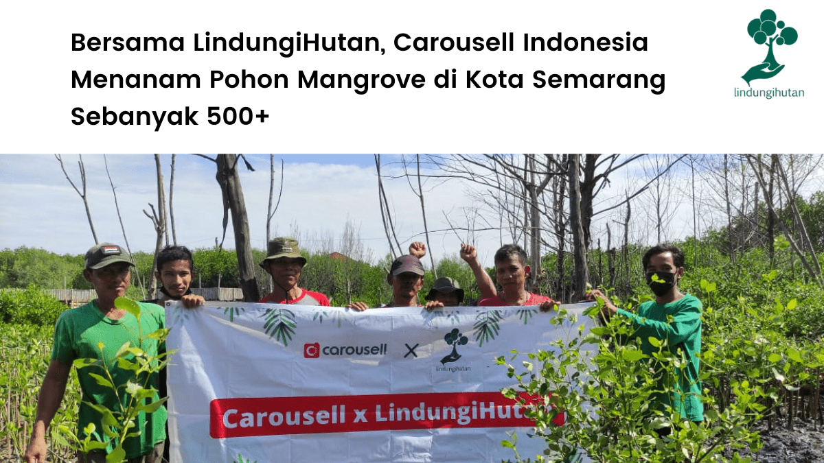 Bersama LindungiHutan, Carousell Indonesia Menanam Pohon Mangrove di Kota Semarang Sebanyak 500+.