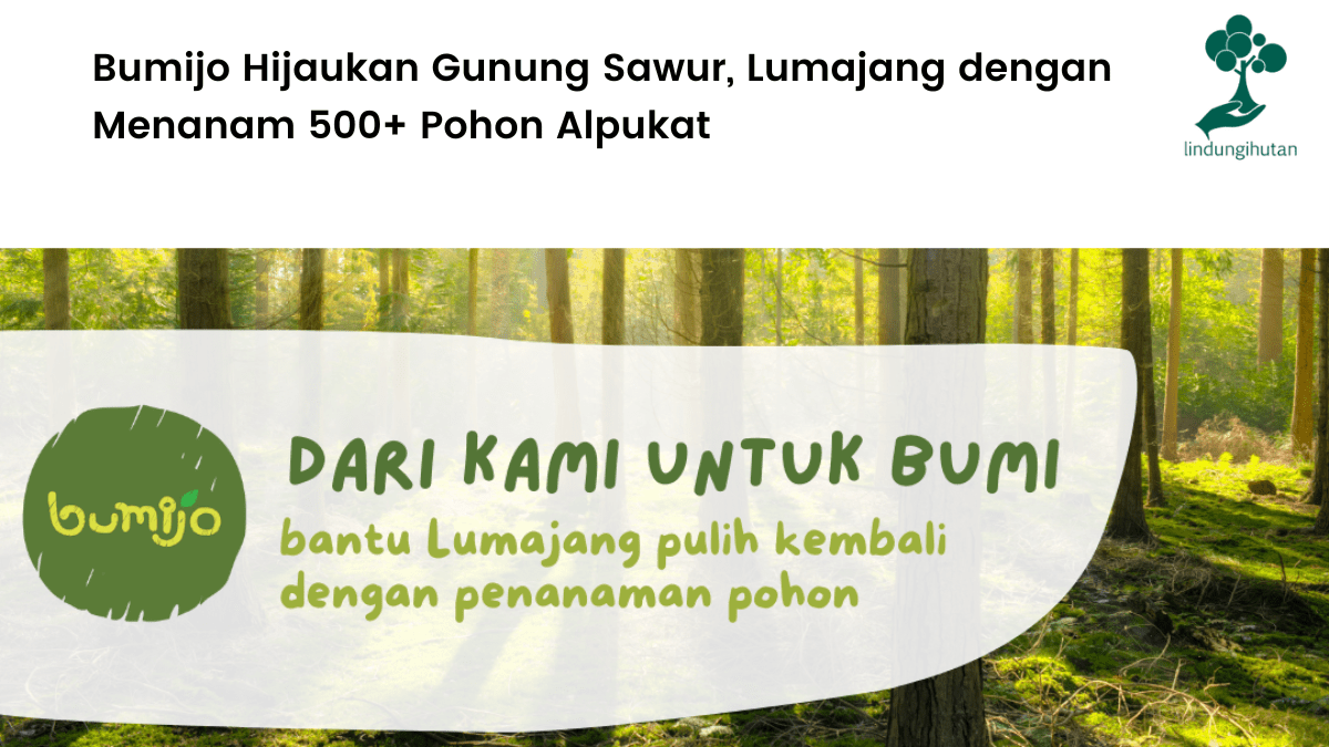 Kerjasama Bumijo dan LindungiHutan untuk proses penghijauan di Gunung Sawur, Lumajang, Jawa Timur.