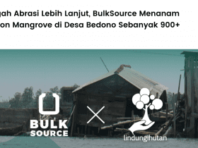 BulkSource bermitra dengan LindungiHutan untuk menanam ratusan mangrove di Demak, Jawa Tengah guna cegah abrasi lebih parah.