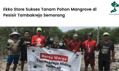 Ekko Store Sukses Tanam Pohon Mangrove di Pesisir Tambakrejo Semarang.
