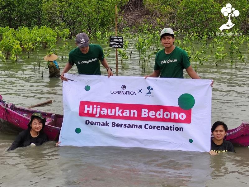 Foto kegiatan penanaman mangrove di Demak hasil kerjasama LindungiHutan dan CoreNation.