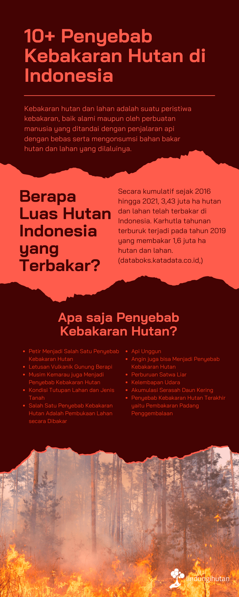Infografis mengenai kebakaran hutan di Indonesia by LindungiHutan.