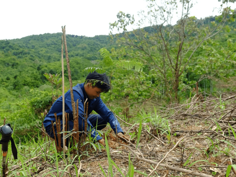 Relawan LindungiHutan menanam bibit pohon hasil kerjasama dengan Kaisae di lereng gunung Salak-Endah.