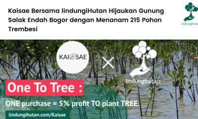Kaisae Bersama lindungiHutan Hijaukan Gunung Salak Endah Bogor dengan Menanam 215 Pohon Trembesi.