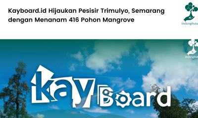 Kayboard.id Hijaukan Pesisir Trimulyo, Semarang dengan Menanam 416 Pohon Mangrove (2).