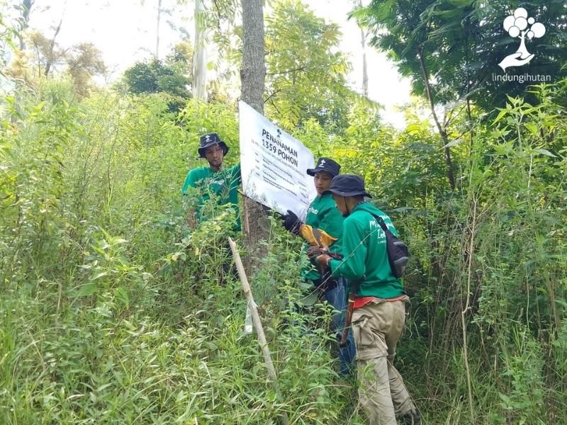 Penggerak LindungiHutan di Bandung sedang menandai kawasan penanaman pohon di Bandung, Jawa Barat.