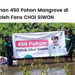 Kegiatan penanaman mangrove untuk merayakan ulang tahun Choi Siwon.